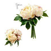 Bazsarózsa Bazsarózsa Csokor