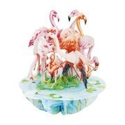 Flamingos Pirouettes 3D Képeslap - Flamingos