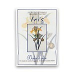 Mini Tasakos Lakásillatosító- Boles d’olor- Írisz