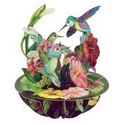 Kolibri Pirouettes 3D Képeslap - Kolibri